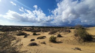 2023-GC--Mapalomas dunas-S123-075.jpg